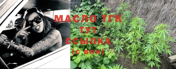 крисы Липки