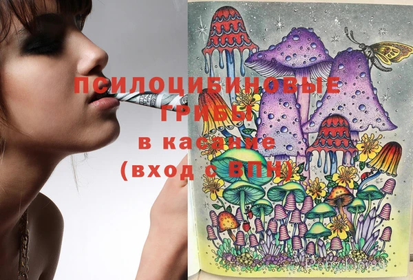PSILOCYBIN Абинск