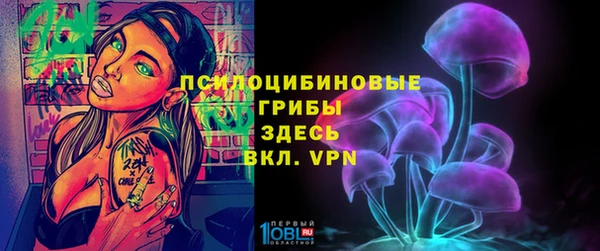 МДПВ Абаза