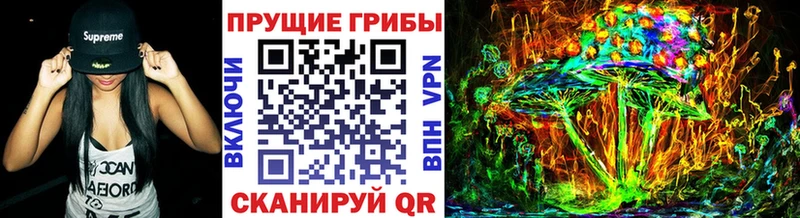 мега зеркало  Хасавюрт  Галлюциногенные грибы MAGIC MUSHROOMS  сколько стоит 